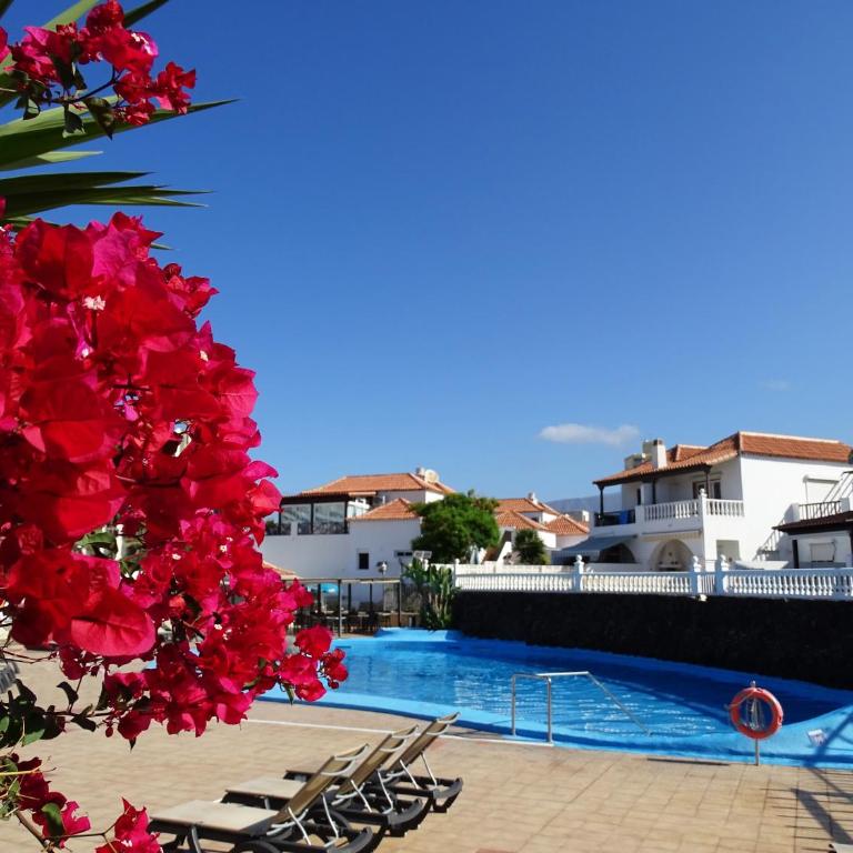 Las Americas Luxury Low-Cost Apartment with Terrace & Views - Apartamento de 1 dormitorio - 43