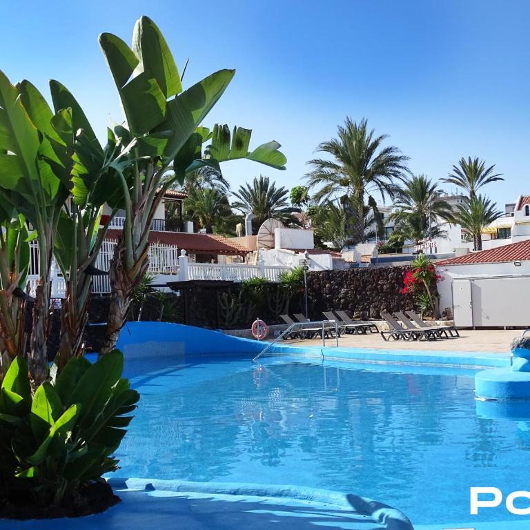 Las Americas Luxury Low-Cost Apartment with Terrace & Views - Apartamento de 1 dormitorio - 4