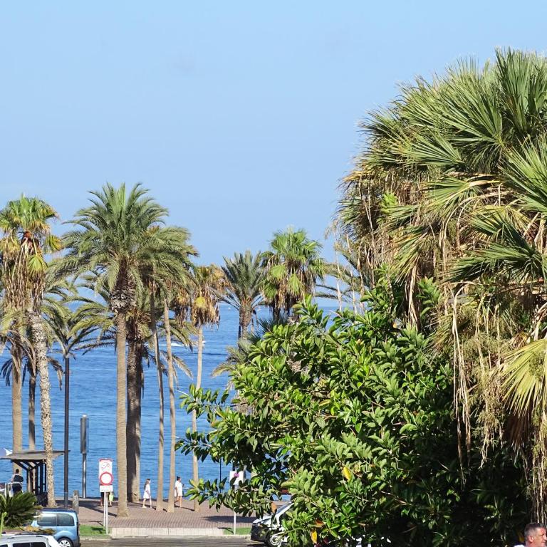 Las Americas Luxury Low-Cost Apartment with Terrace & Views - Apartamento de 1 dormitorio - 48