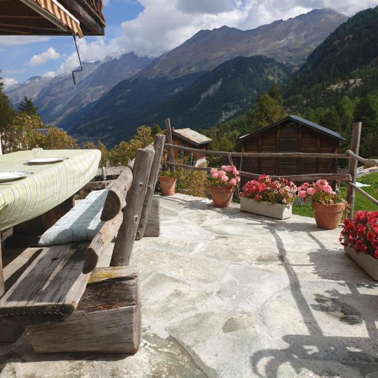 Chalet Samson - Appartement 1 Chambre - 13
