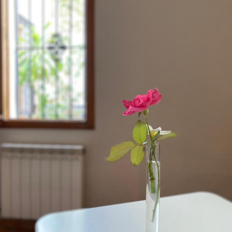 Hostal Moscatel - Twin Room - 7
