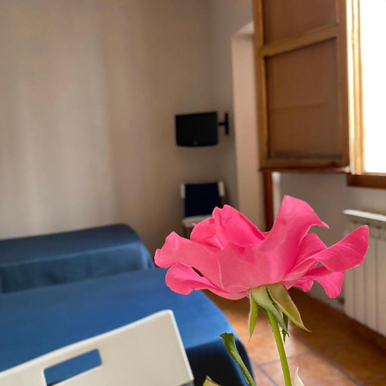 Hostal Moscatel - Twin Room - 6