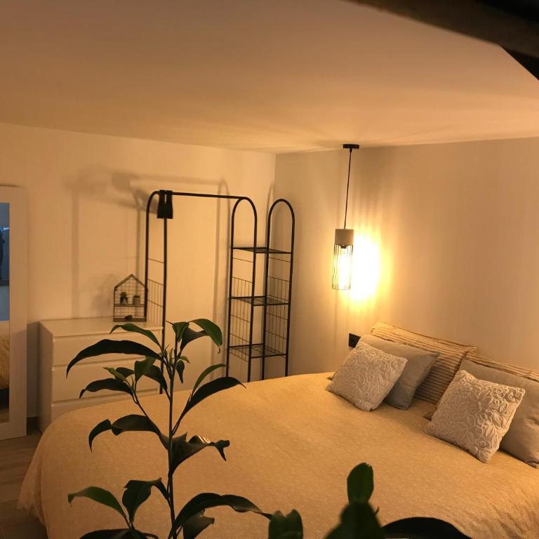 Precioso Loft a 150 metros de la playa - Apartamento de 2 dormitorios - 5