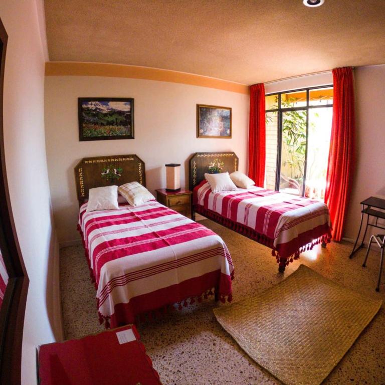 Casa de las Palmas Guest House - Single Room with Terrace - 8