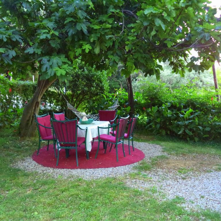 Apartments Nikčević - Apartman sa Pogledom na Vrt - 21