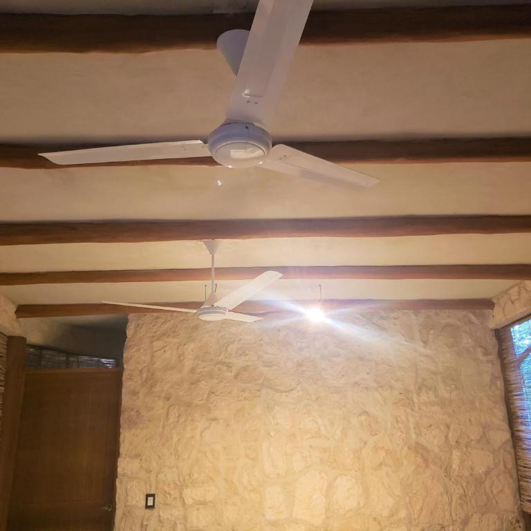 Aldea Maya-Ha Cabañas con cenotes - Standard Bungalow with Fan - 7