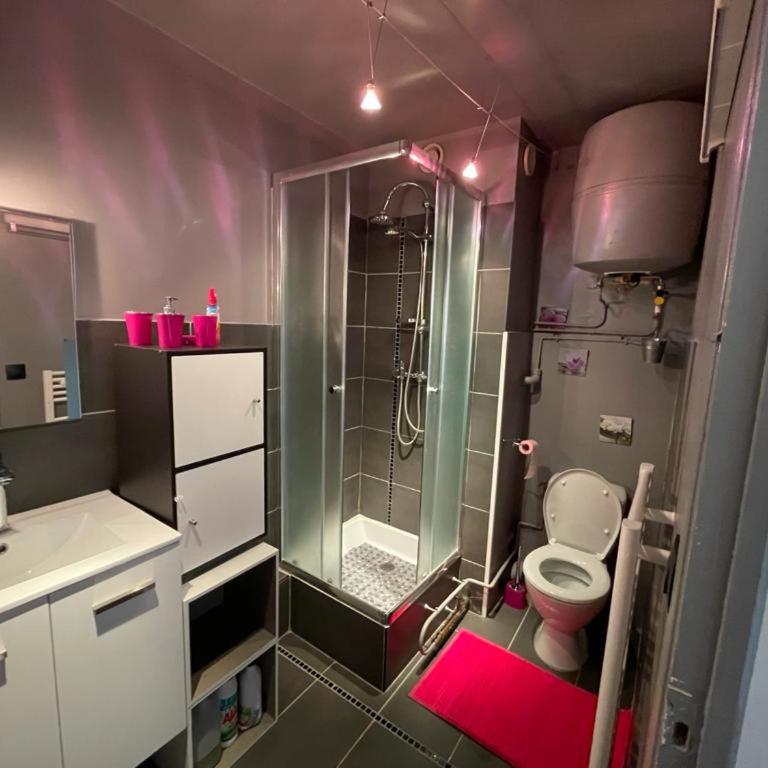 Orcieres - Studio au pieds des pistes - Appartement 1 Chambre - 5