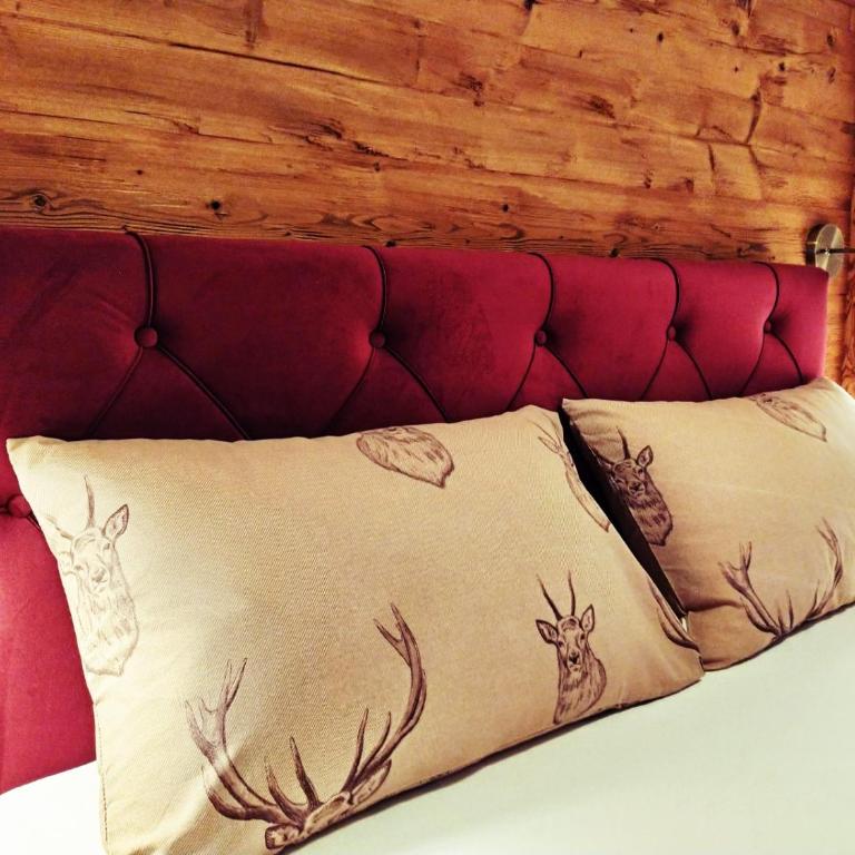 Alpen Apartment Werfenweng - Ruhe - Pool - Appartement 1 Chambre - 4
