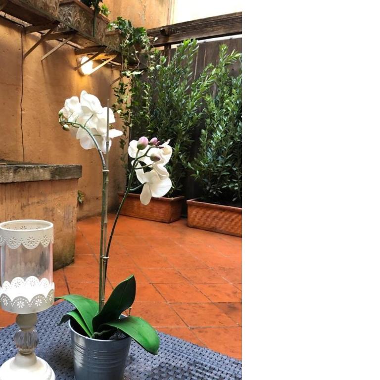 Farnese 48 - Junior Suite con Patio - 10