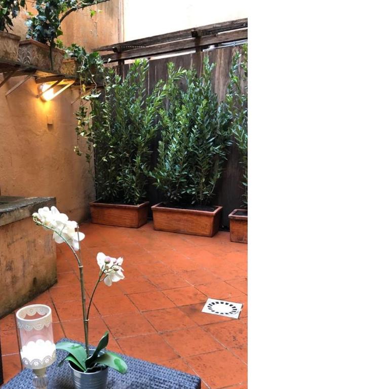 Farnese 48 - Junior Suite con Patio - 12