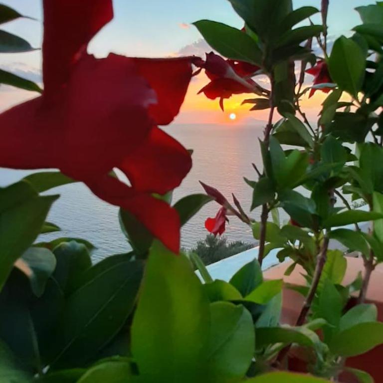 Bella Vista House-Sorrento coast - free parking-solarium - Casa con 1 Camera da Letto - 20
