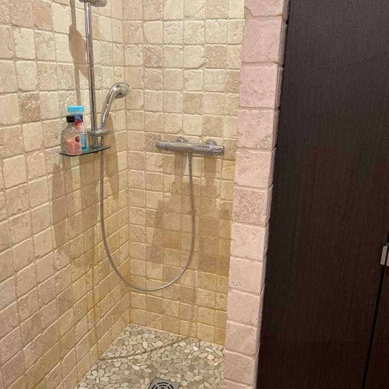 Studio 1 pièce situé dans un chalet - Appartement - 4