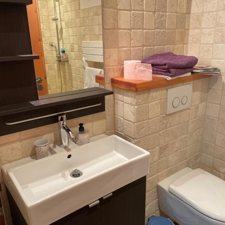 Studio 1 pièce situé dans un chalet - Appartement - 3