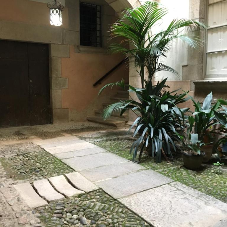 Allotjament Barri Vell Girona - Apartamento - 3