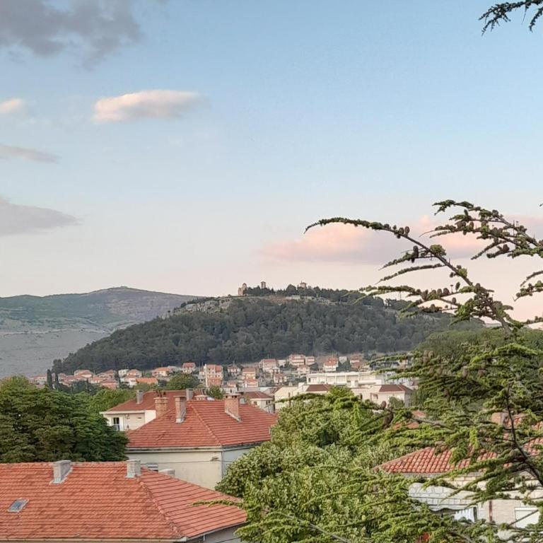 Apartman Jelena Anžujska - One-Bedroom Apartment - 16