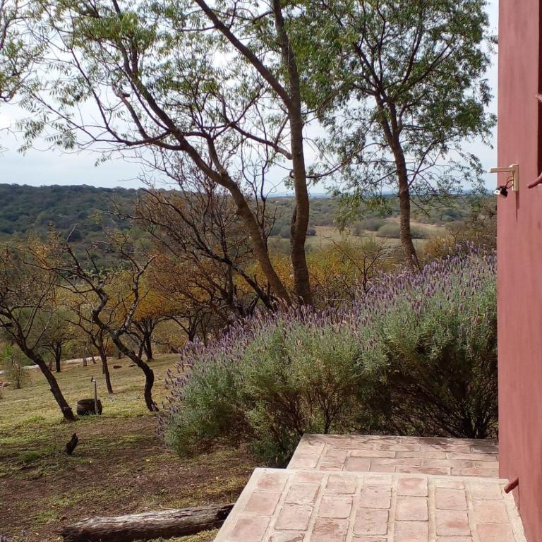 La Tina - Apartamento de 2 dormitorios - 67