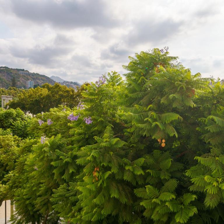 ALMAR Puerto by AlohaMalaga - Apartamento de 3 dormitorios - 48