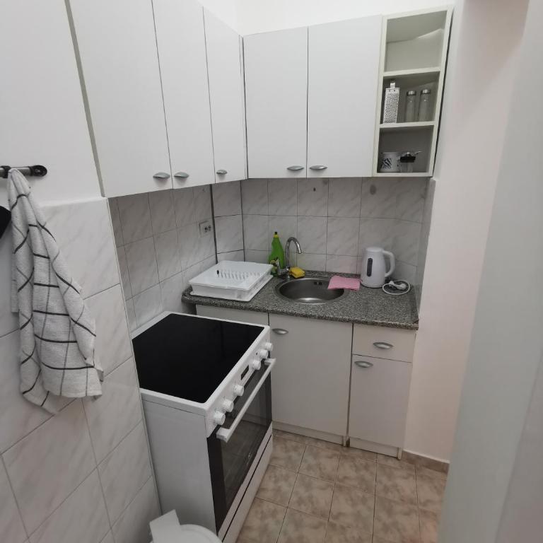 Victory apartment - Heart of Belgrade - Apartman sa 2 Spavaće Sobe - 14