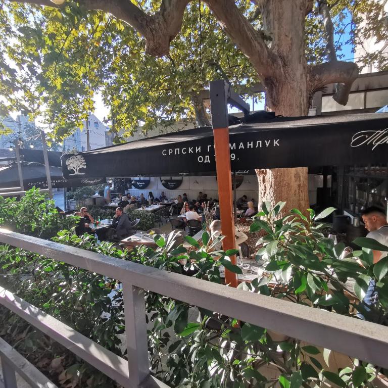 Victory apartment - Heart of Belgrade - Apartman sa 2 Spavaće Sobe - 22