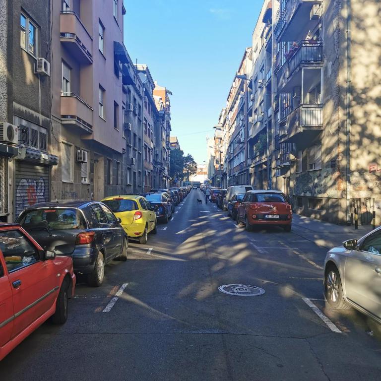 Victory apartment - Heart of Belgrade - Apartman sa 2 Spavaće Sobe - 18