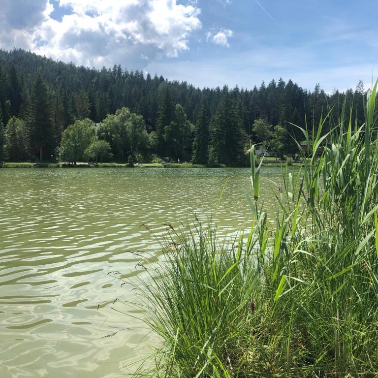 LakeSide Apartments Seefeld - Deluxe Apartment mit Bergblick - 3