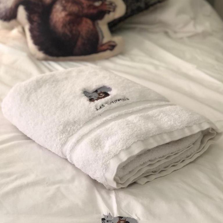 Les Ecureuils Squirrel Lodge - Appartement avec Vue sur la Montagne - 41
