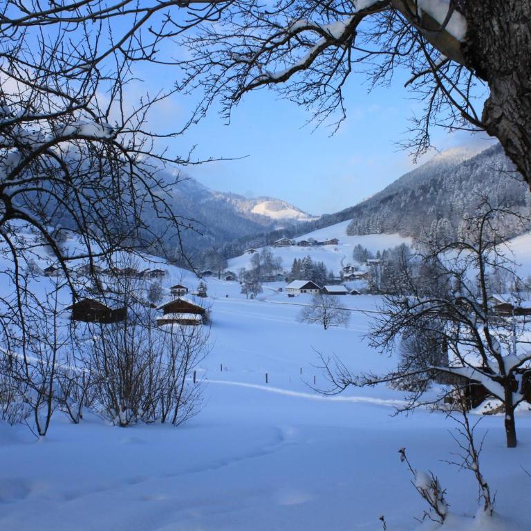 Haus Matzl inkl. Chiemgaukarte - Doppelzimmer mit Bergblick - 4