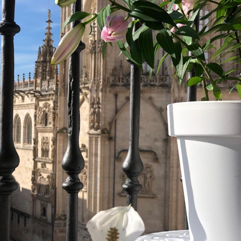 Una MIRADA A LA CATEDRAL-Apartamentos Burgos Catedral - Apartamento de 1 dormitorio - 70