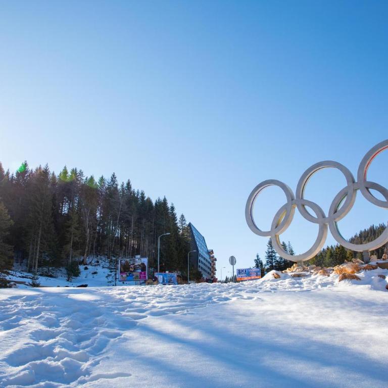 Olimpijska kuća Jahorina A209 - One-Bedroom Apartment - 27