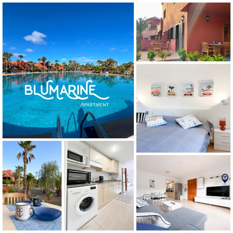 Tamarindo Blumarine - pool & wifi free 4 persons - One-Bedroom Apartment - 1