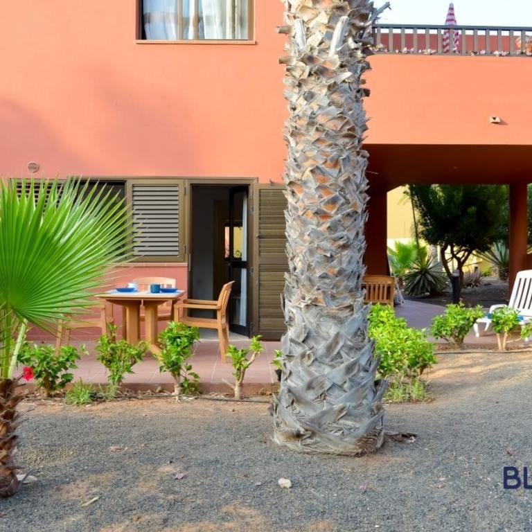 Tamarindo Blumarine - pool & wifi free 4 persons - One-Bedroom Apartment - 11