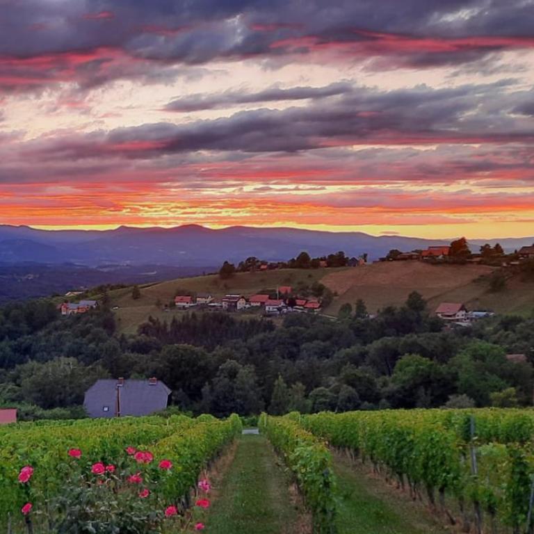 Wein- und Weitblick - Appartamento con 2 Camere da Letto - 18