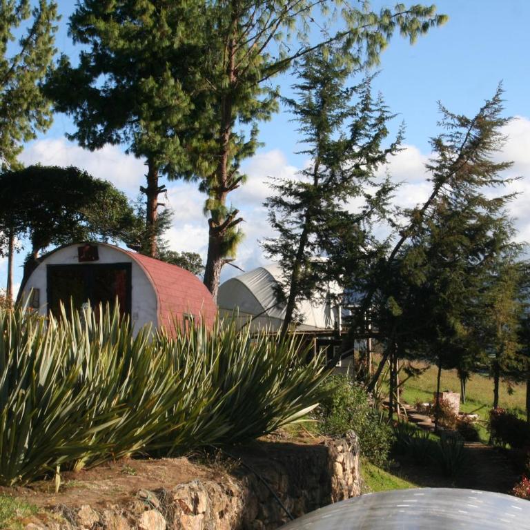 tu glamping s a s - Deluxe Villa - 11