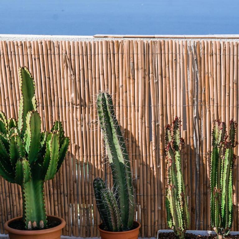 Oceanview Boutique House, 125 sqm, Parking, Sunset Rooftop - Casa de 3 dormitorios - 48