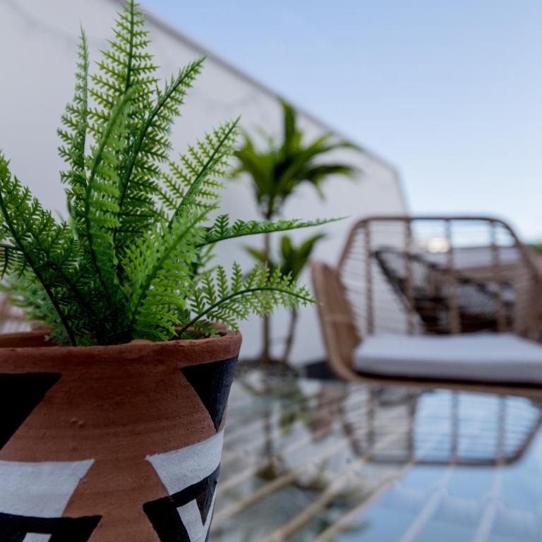 Costasol33 Aptos 1 y 2 - Apartment with Terrace - 26