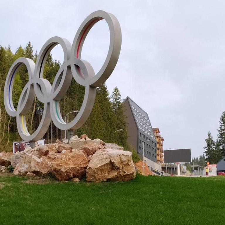 Olimpijska kuća Jahorina A209 - One-Bedroom Apartment - 30