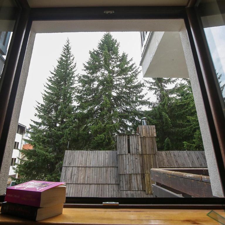 Villa Zvončica, Apartman ViN - One-Bedroom Apartment - 13