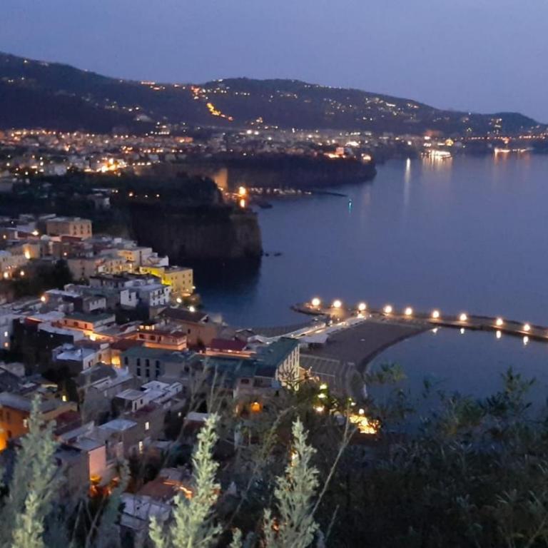 Bella Vista House-Sorrento coast - free parking-solarium - Casa con 1 Camera da Letto - 39