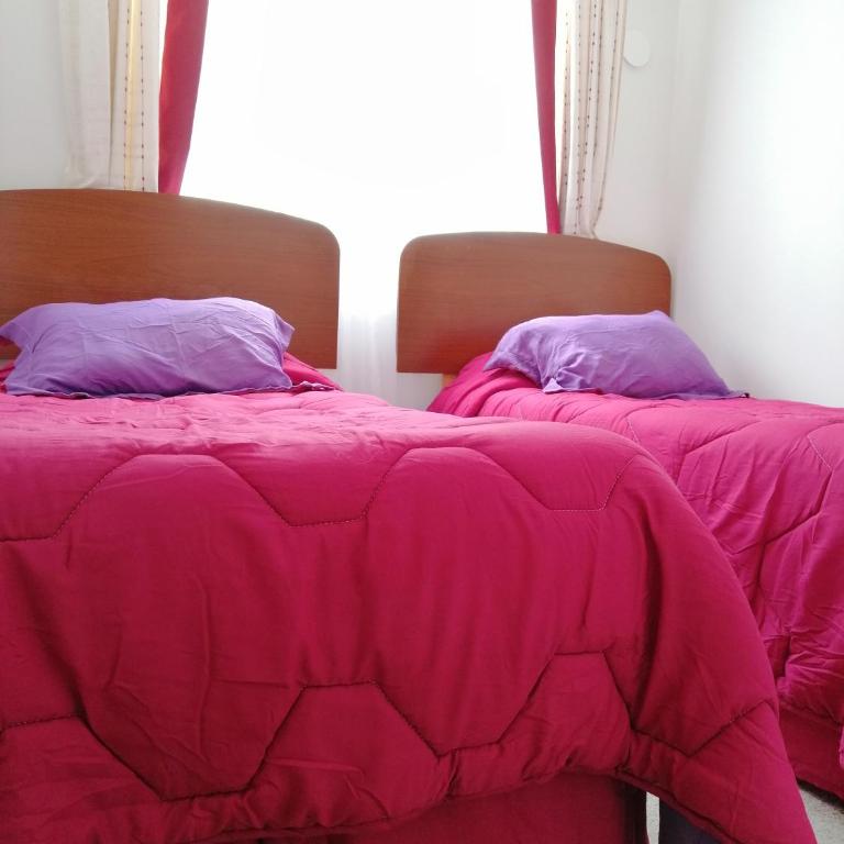 Sweet Home - Apartment - 21