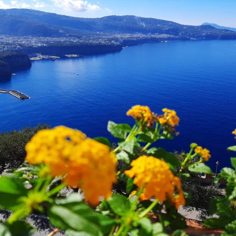 Bella Vista House-Sorrento coast - free parking-solarium - Casa con 1 Camera da Letto - 1