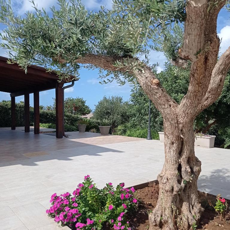 Villa dei Colori - Casa con 3 Camere da Letto - 1