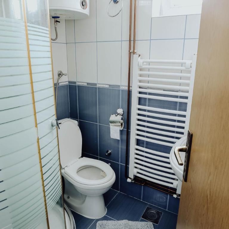 Vila Aris Zlatibor - Studio Apartman - 8
