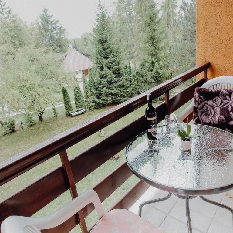 Vila Aris Zlatibor - Apartman sa Terasom - 15