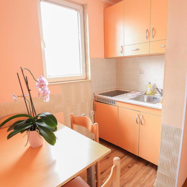 Vila Aris Zlatibor - Apartman sa Terasom - 9