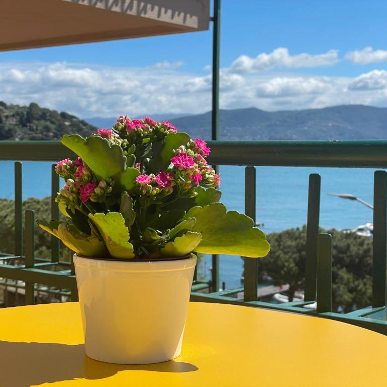 Casa Irene terrazza vista mare e garage - Appartamento con 1 Camera da Letto - 13