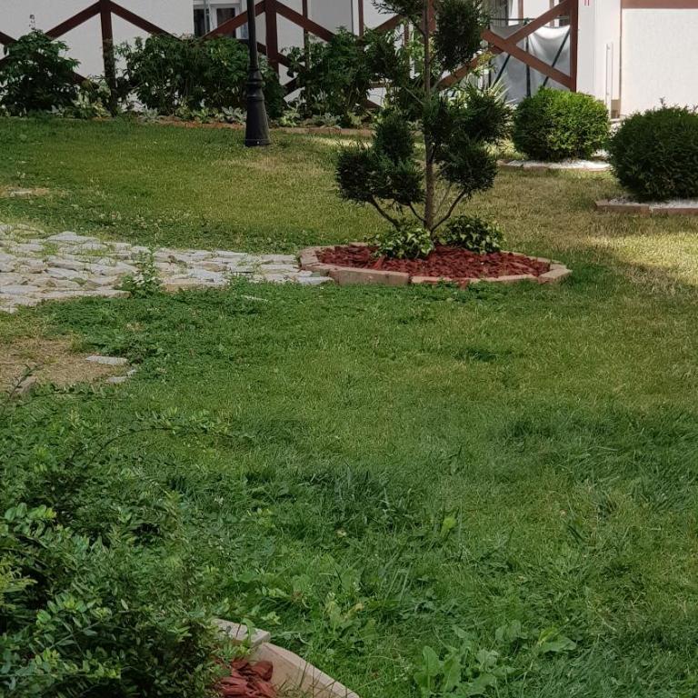 Čar30 Kraljevi čardaci - Standardni Studio - 22