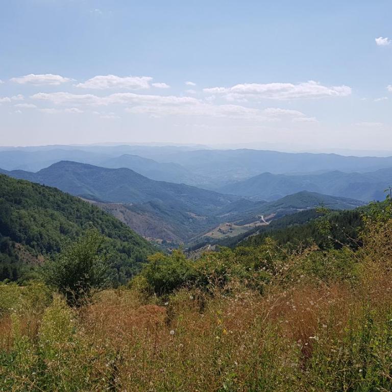 Čar30 Kraljevi čardaci - Standardni Studio - 31