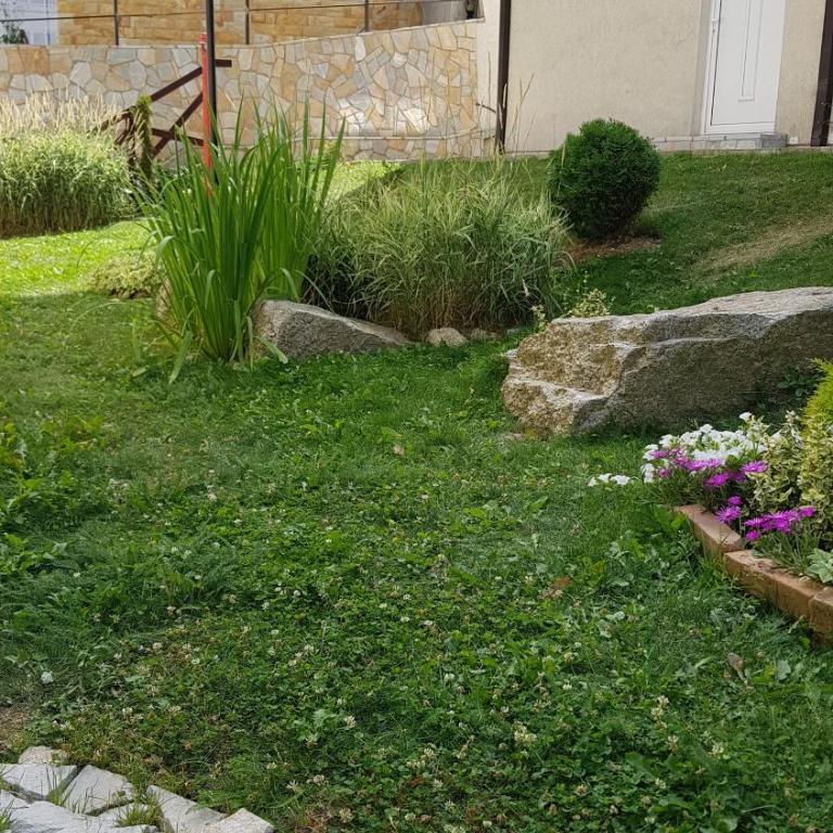 Čar30 Kraljevi čardaci - Standardni Studio - 40
