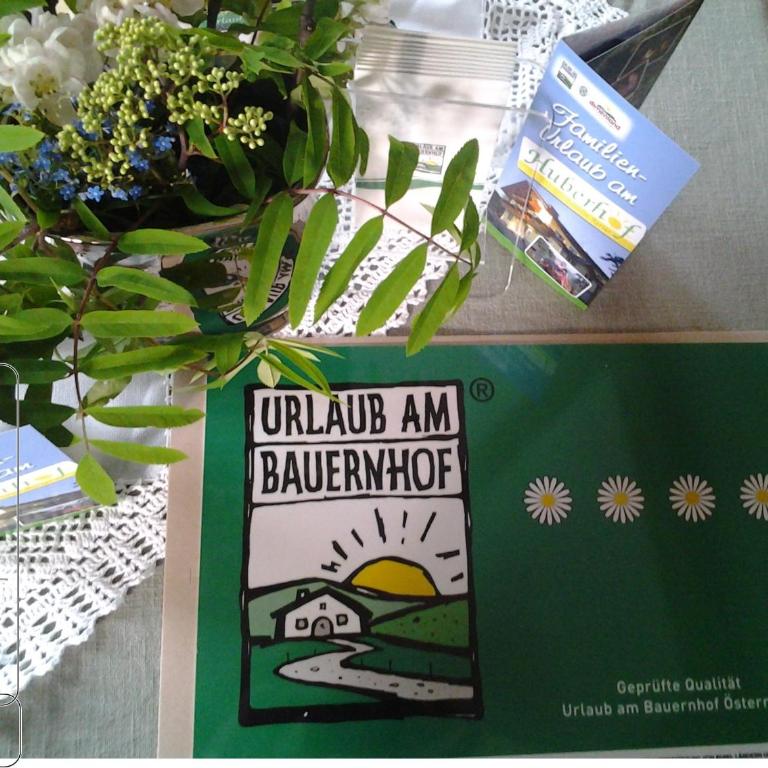 Huberhof im Almenland - Apartment mit 2 Schlafzimmern und Terrasse - 17