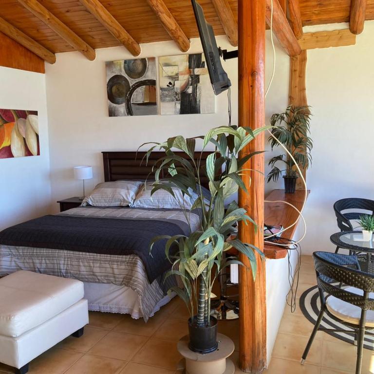 Cabañas Parador del Aguila - Lago Vichuquén - One-Bedroom House - 8